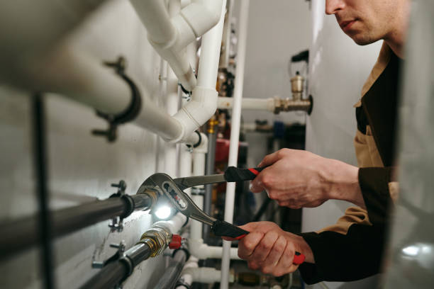 Best Emergency Plumber  in Mendota, IL