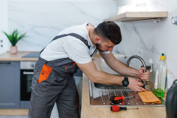 Best Affordable Plumbing Services  in Mendota, IL