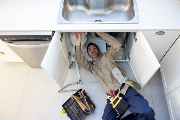 Best Affordable Plumber Near Me  in Mendota, IL