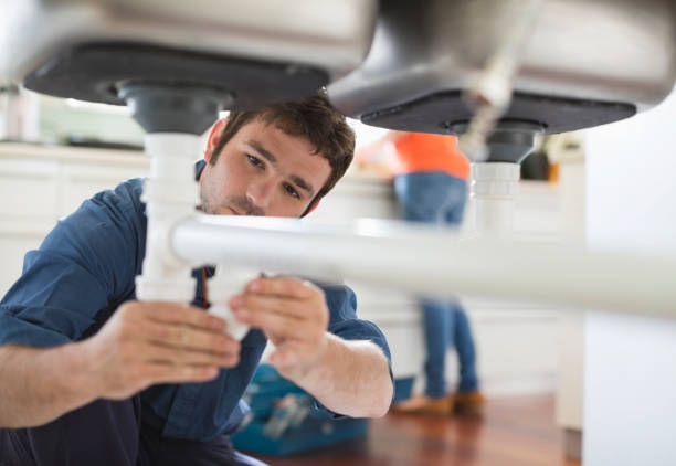 Best Toilet Repair Services  in Mendota, IL