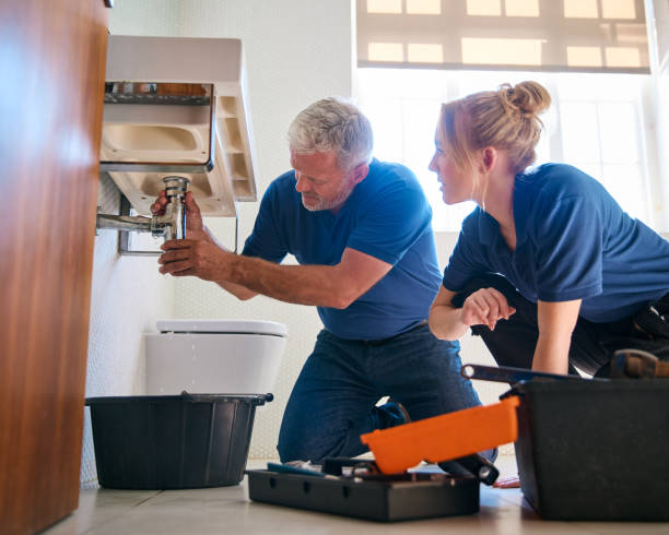 Professional Plumbing in Mendota, IL